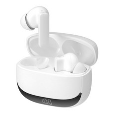 아이리버 ANC ENC 노이즈캔슬링 C타입 러닝 무선 블루투스 6.0 이어폰 커널형, IB-TX5, 화이트
