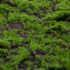 萬壽菊 人造花 人造草皮 苔蘚 草墊 100 x 100 cm, 混合色, 1個