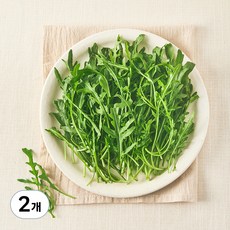 유기농 와일드 루꼴라, 2개, 50g