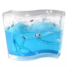 螞蟻日記 生態教學玩具 中，生態觀察、學習生物知識，培養孩子對生命的尊重, 1個