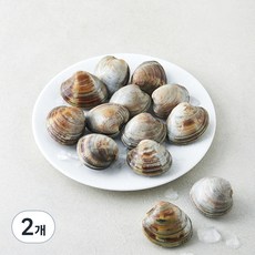 생물 백합조개, 2개, 600g