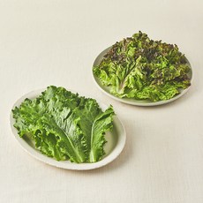 친환경 적상추+청상추, 200g, 1개