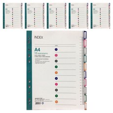 PP 10분류 인덱스 홀더파일, 혼합 색상, 6개