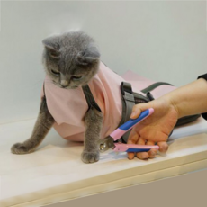 PETPRO 貓用美容外出籠 粉紅色 S, 1個