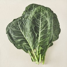 유기농 인증 녹즙용 케일, 1kg, 1개