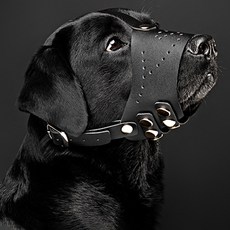 狗經典皮革槍口 L, 黑色的, 1個