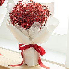 COCODOR 珂珂朵爾 不凋謝鮮花 永生滿天星中型花束, 紅色