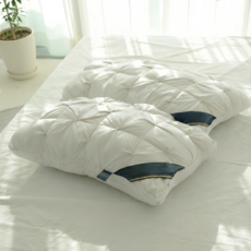 송림라이프 빨아쓰는 푹신한 숙면 베개 + 베개솜, 화이트, 2개