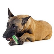 Petstages 狗狗玩具 Crunch Core 骨頭 L, 混合色, 1個