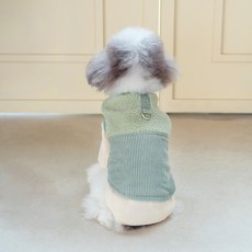PETSLAND 寵物 Roy 鋪棉背心, 薄荷綠, 1個