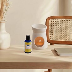 나그참파코리아 인센스 향 아로마오일, 1개, 25ml, 세븐 차크라