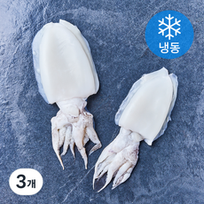 손질통 갑오징어 2미 (냉동), 3개, 200g