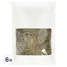 웰리트 쇠뜨기, 6개, 150g
