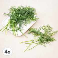 유기농 딜, 10g, 4봉