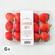 스마트팜 설향 딸기, 6개, 500g