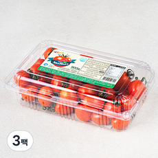 스테비아 네오 대추방울토마토, 900g, 3팩