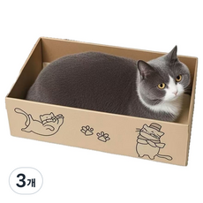 케리빙 고양이 스크래쳐 황박스, 종이, 3개