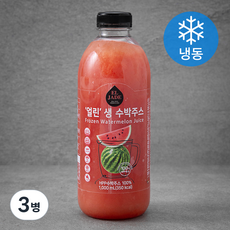엘제이드 얼린 생 수박주스 (냉동), 1L, 3개