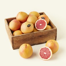 메하드린 이스라엘산 자몽, 14kg(38~44입/중과), 1개