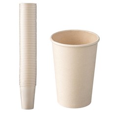 탐사 사탕수수 종이컵 380ml, 1개, 50개입