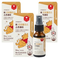 네추럴라이즈 비 프로폴리스 스프레이, 30ml, 3개