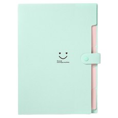 Aster 5格風琴文件整理夾, 1個, 薄荷