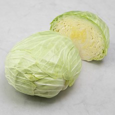 제주도 친환경 양배추, 1000g, 1개, 1봉