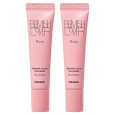 한스킨 블레미쉬 커버 컨실러 12g, 2개, 로지