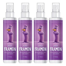 아우라 프라몬 섬유탈취제 블랙베리베이, 140ml, 4개