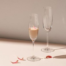 TOYO-SASAKI GLASS 東洋佐佐木 水晶香檳杯酒杯禮盒組, 2個, 170ml