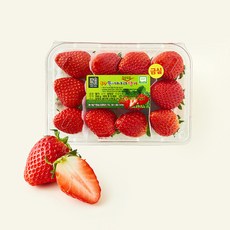 제이드가든 GAP 인증 대숲맑은 담양 금실 딸기, 1개, 500g(대과)