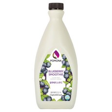 포모나 스무디 시럽 블루베리, 2kg, 1개