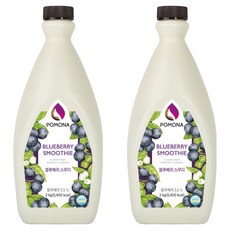 포모나 스무디 시럽 블루베리, 2kg, 2개