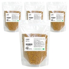 행복약초 강황환, 1kg, 4개