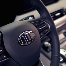 BRENTHON DESIGN 第3代車用標誌方向盤蓋, Palisade, 混合色