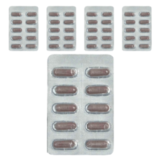 弘茂 益利素西洋接骨木精華素膠囊 每盒80份, 10顆, 500mg, 5盒