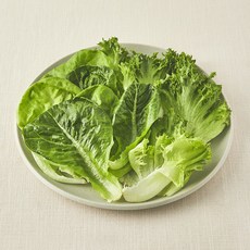 무농약 인증 스마트팜 트리플믹스 샐러드 채소, 100g, 1개, 1개입