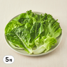 무농약 인증 스마트팜 트리플믹스 샐러드 채소, 100g, 5개, 1개입
