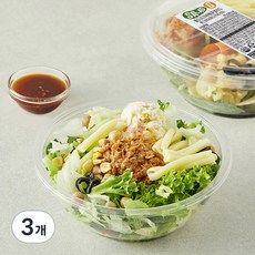 샐러드g 풀드포크 바베큐 샐러드, 170g, 3개