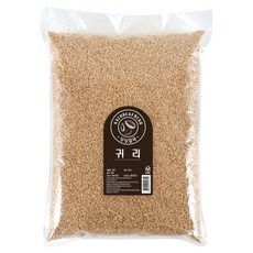 월드그린 싱싱 귀리, 3kg, 1개