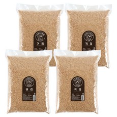 월드그린 싱싱 귀리, 3kg, 4개