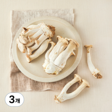 친환경 머쉬멜로버섯, 3개, 500g