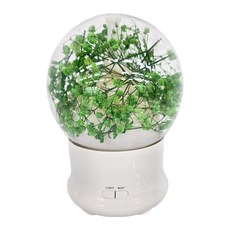 永恆花香薰機, 天然花材, 香薰加濕夜燈, 100ML, 1個, 白色 + 透明色