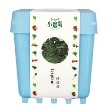 iPlant 小農場 積木農場盆栽 冰花菜, 12 x 12 x 13.5cm