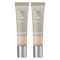 한스킨 블레미쉬 커버 컨실러 12g, 2개, 브라이트