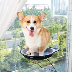 아리코 DrMini 고양이 유리 흡착 해먹, 그레이, 1개