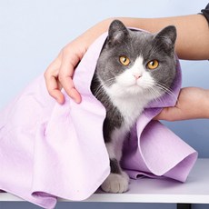 블럭마트 심플 강아지타월 4p, 색상랜덤