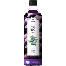 맑은내일 푸룬 100 과채주스, 1L, 1개