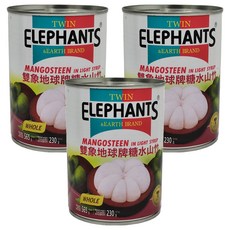TWIN ELEPHANTS 雙象地球牌 糖水山竹, 565g, 3罐