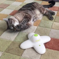 Inparo 貓自動蝴蝶玩具 3203, 混色, 1個